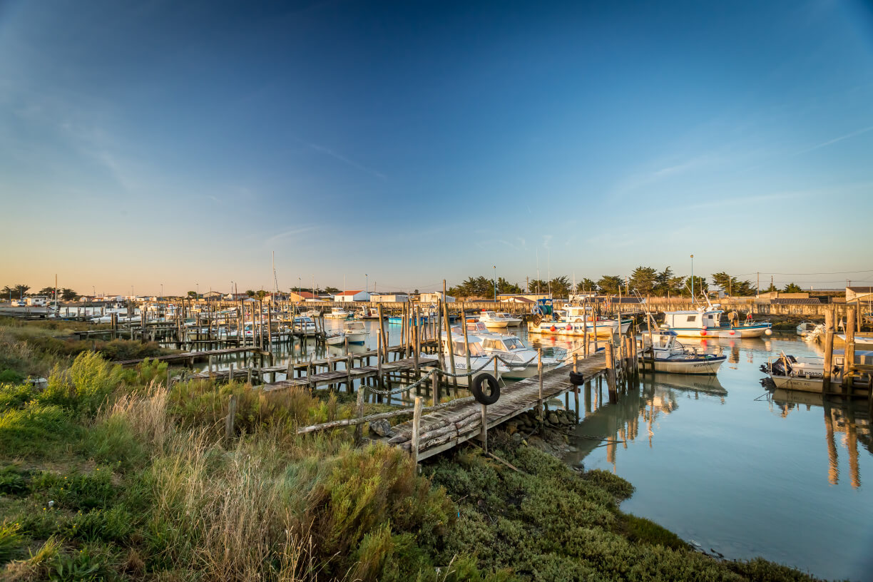 Port Du Bec - Stephane Grossin Vendée Expansion Droits Réservés